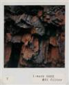 ADAMS, ANSEL (1902-1984) Triptych with 3 color studies: Rusted Metal * Leaves * Red Rock.